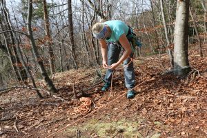 Training Spaltenbergung