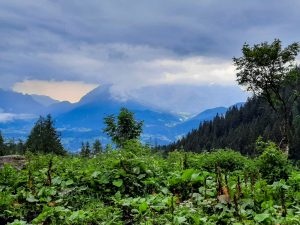 Gotzenalm Radtour Berchtesgaden