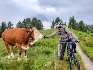 Gotzenalm Radtour Berchtesgaden