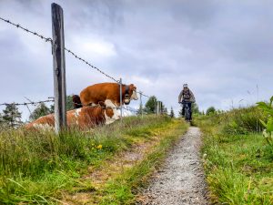 Gotzenalm Radtour Berchtesgaden