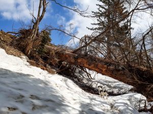 Wandern Trattberg Seewaldsee