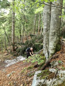 Wandern Trattberg Seewaldsee