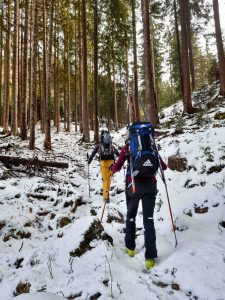 Silvester Planken Gosau Dachstein