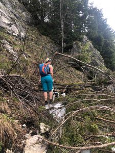 Wandern Trattberg Seewaldsee