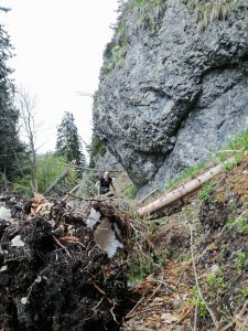 Wandern Trattberg Seewaldsee