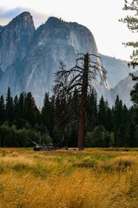 Camp 4 im Yosemite Nationalpark