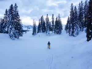 Silvester Planken Gosau Dachstein