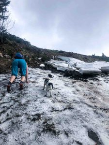 Wandern Trattberg Seewaldsee