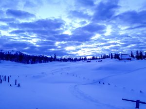 Silvester Planken Gosau Dachstein