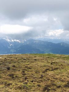 Wandern Trattberg Seewaldsee