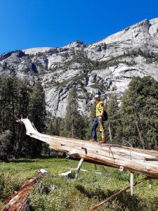 Camp 4 im Yosemite Nationalpark