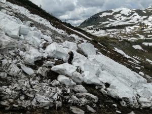 Wandern Trattberg Seewaldsee