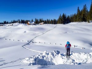 Silvester Planken Gosau Dachstein