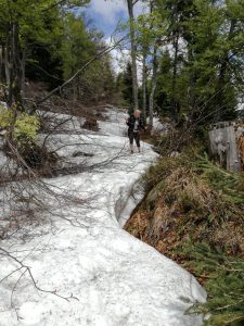 Wandern Trattberg Seewaldsee