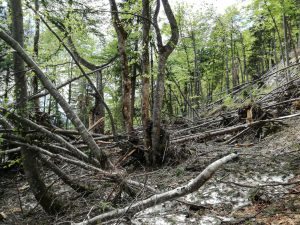 Wandern Trattberg Seewaldsee