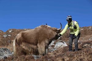 Nepal Gokyo Ri Trekking in Solukhumbu