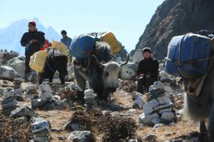 Nepal Gokyo Ri Trekking in Solukhumbu