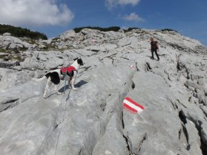 Bergtour Krippenstein Taubenkogel Hoher Gjaidstein