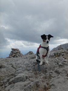 Bergtour Krippenstein Taubenkogel Hoher Gjaidstein