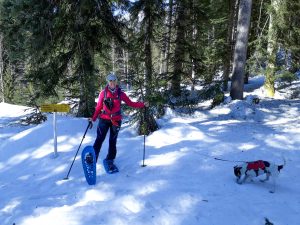 Schneeschuhwandern Iglmoos Kalmberg