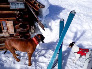 Schneeschuhwandern Iglmoos Kalmberg