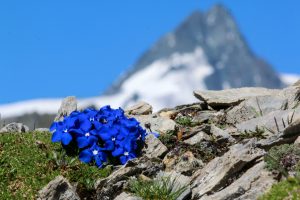 Bergtour Spielmann Großglockner Hochalpenstraße