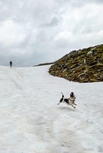 Bergtour Bockhartscharte Silberpfenning in Rauris Kolm Saigurn