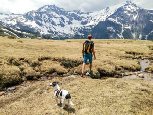 Bergtour Bockhartscharte Silberpfenning in Rauris Kolm Saigurn