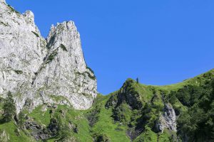 Bergtour in Abtenau: Schober und Traunstein