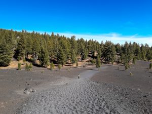 Bergtour Cinder Cone Vulkan Yosemite Nationalpark