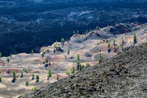 Bergtour Cinder Cone Vulkan Yosemite Nationalpark