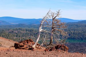 Bergtour Cinder Cone Vulkan Yosemite Nationalpark