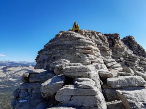 Bergtour Mount Hoffmann Yosemite Nationalpark