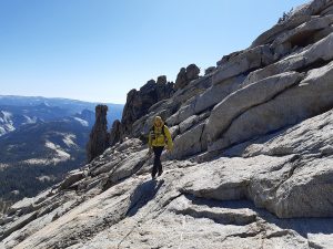 Bergtour Mount Hoffmann Yosemite Nationalpark