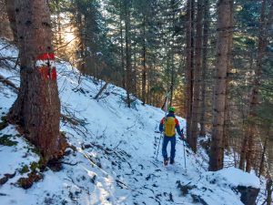 Skitour in Großarl: Nebeleck Loosbühel Gründegg