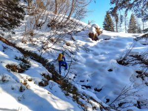 Skitour in Großarl: Nebeleck Loosbühel Gründegg