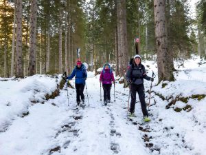 Silvester Planken Gosau Dachstein