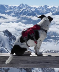 Ruffwear Webmaster Harness Brustgeschirr Dachstein