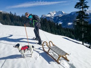 Schneeschuhwandern Iglmoos Kalmberg