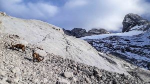 Bergtour Torstein Dachstein