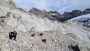 Bergtour Torstein Dachstein