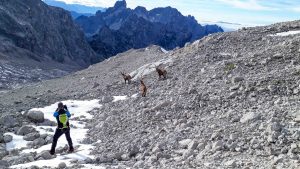 Bergtour Torstein Dachstein