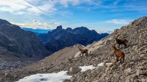 Bergtour Torstein Dachstein