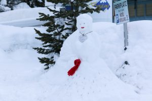 Pitztal Eistotal Kletterfestival 2018