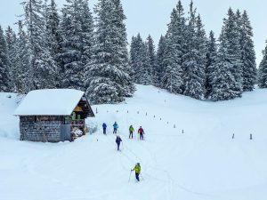 Silvester Planken Gosau Dachstein