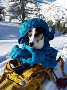 Skitour Bockhartscharte Rauris Kolm Saigurn